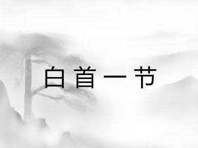 白首一节