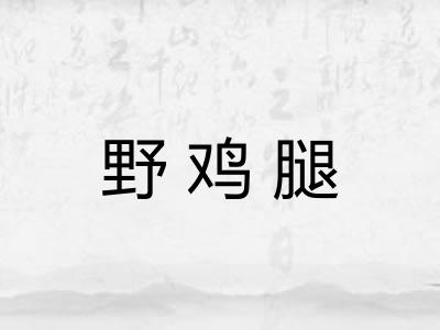 野鸡腿