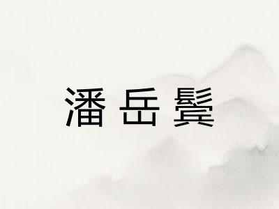 潘岳鬓