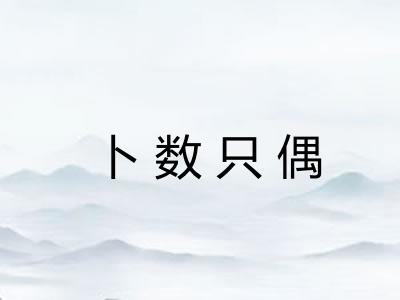 卜数只偶
