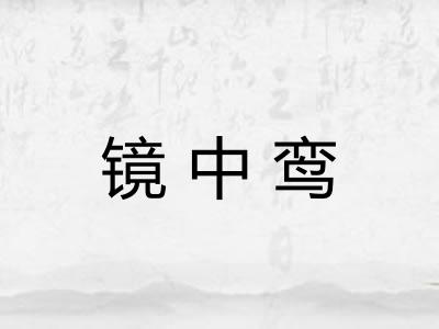 镜中鸾