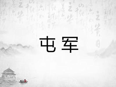 屯军