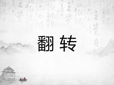 翻转