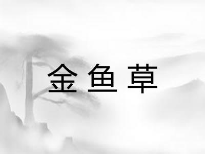 金鱼草