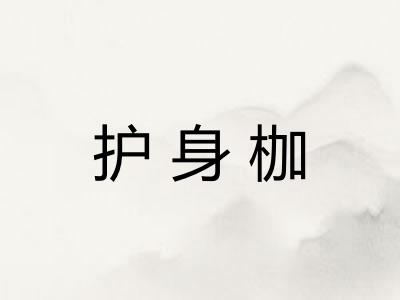 护身枷