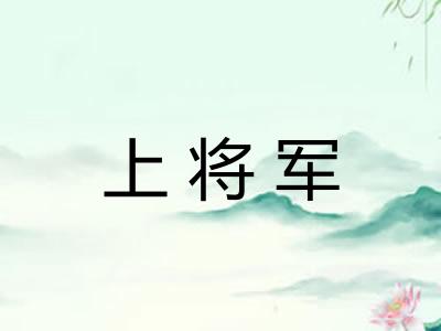 上将军