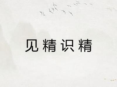 见精识精