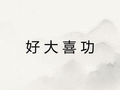 好大喜功