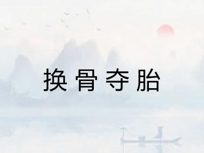 换骨夺胎