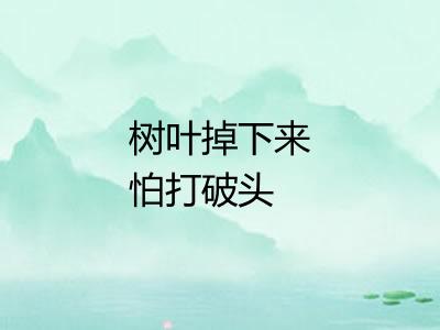 树叶掉下来怕打破头
