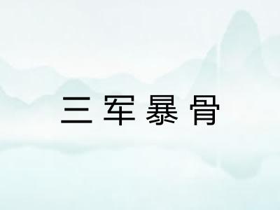 三军暴骨
