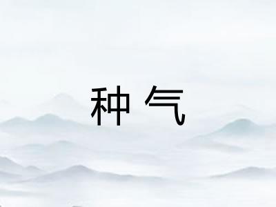 种气