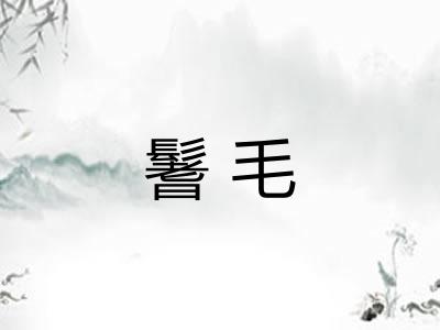 鬐毛