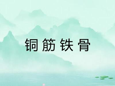 铜筋铁骨