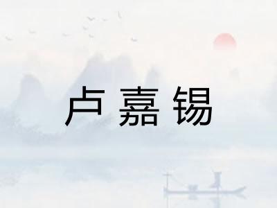卢嘉锡