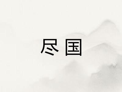尽国