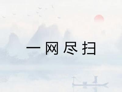 一网尽扫