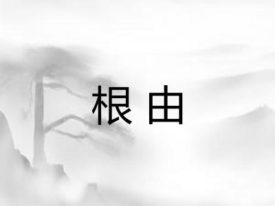 根由