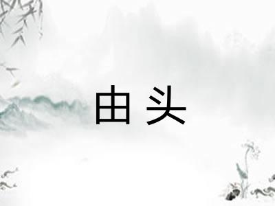 由头