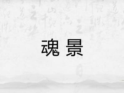 魂景