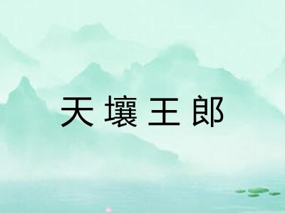 天壤王郎