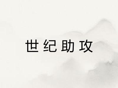 世纪助攻