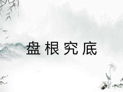盘根究底