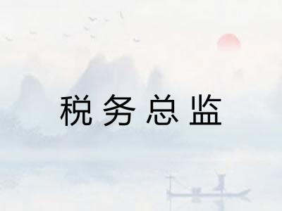 税务总监