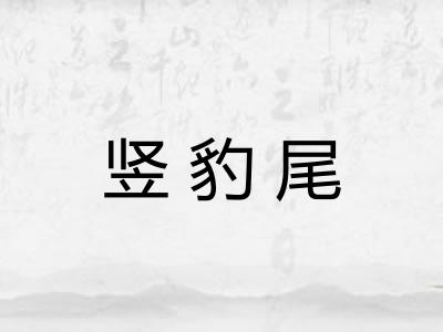 竖豹尾