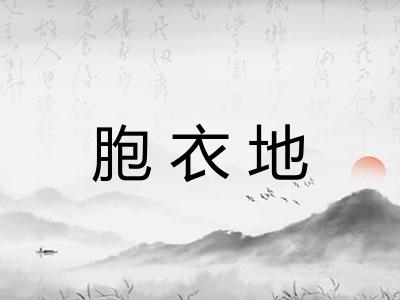 胞衣地