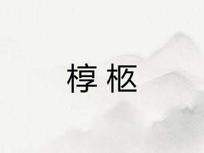 椁柩