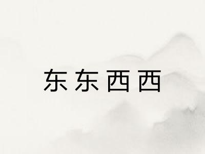 东东西西