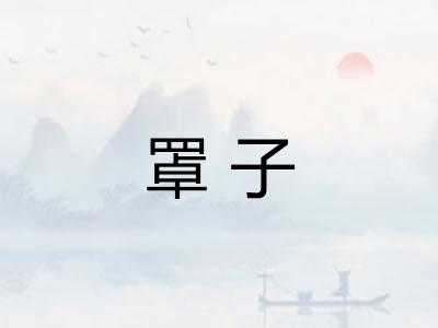 罩子