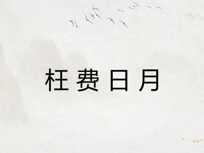 枉费日月