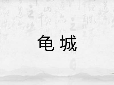 龟城