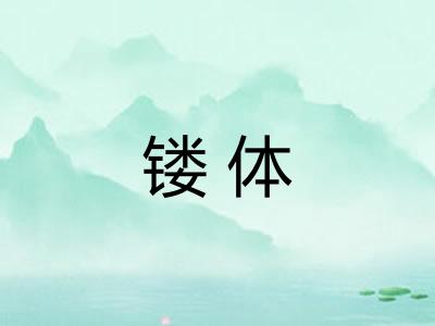 镂体