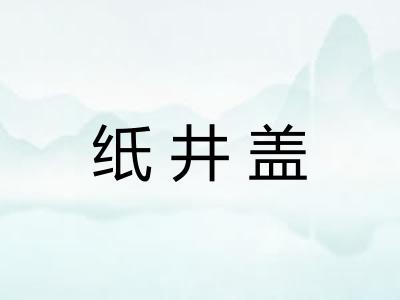 纸井盖