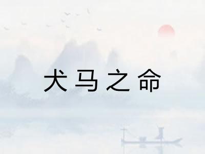 犬马之命