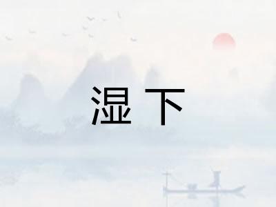 湿下