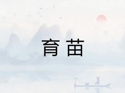 育苗