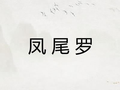 凤尾罗