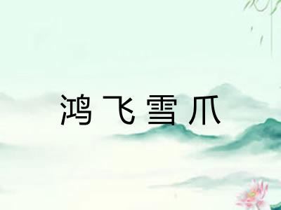 鸿飞雪爪