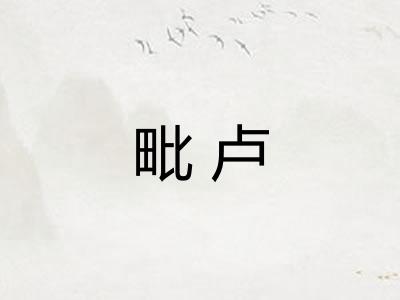 毗卢
