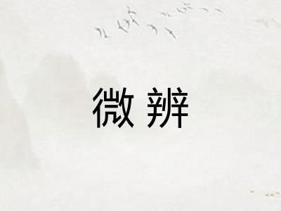 微辨
