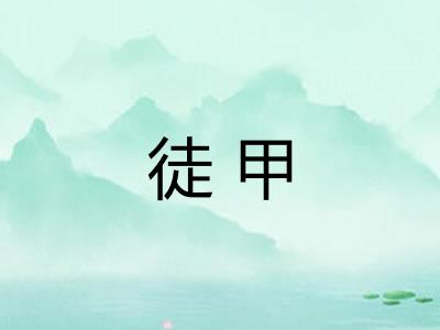 徒甲