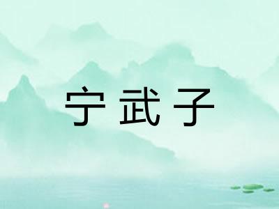 宁武子