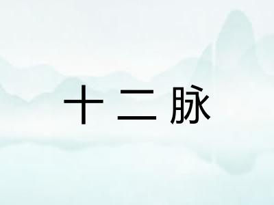 十二脉