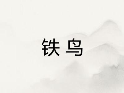铁鸟