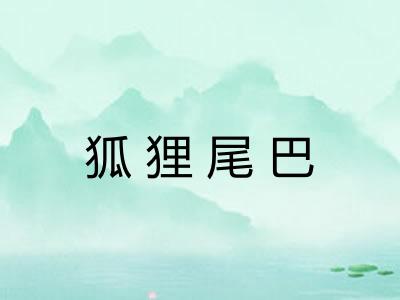 狐狸尾巴