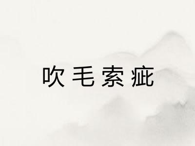 吹毛索疵